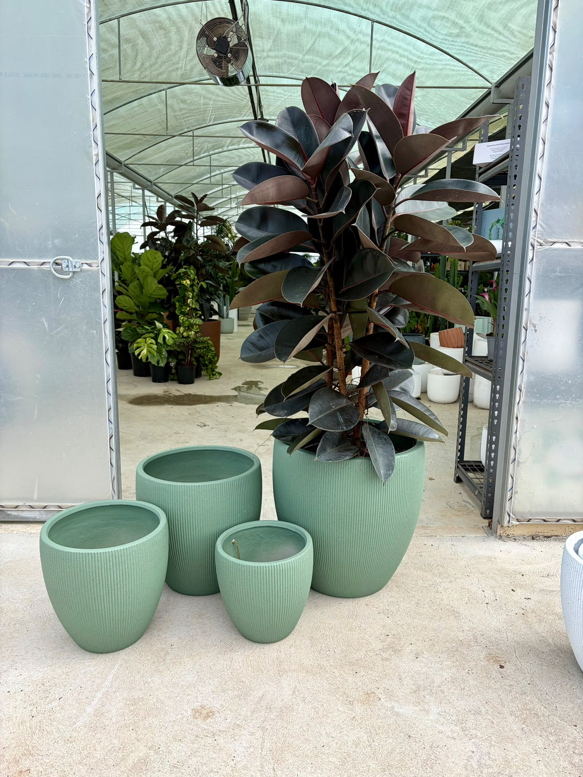 Chord Egg Pots