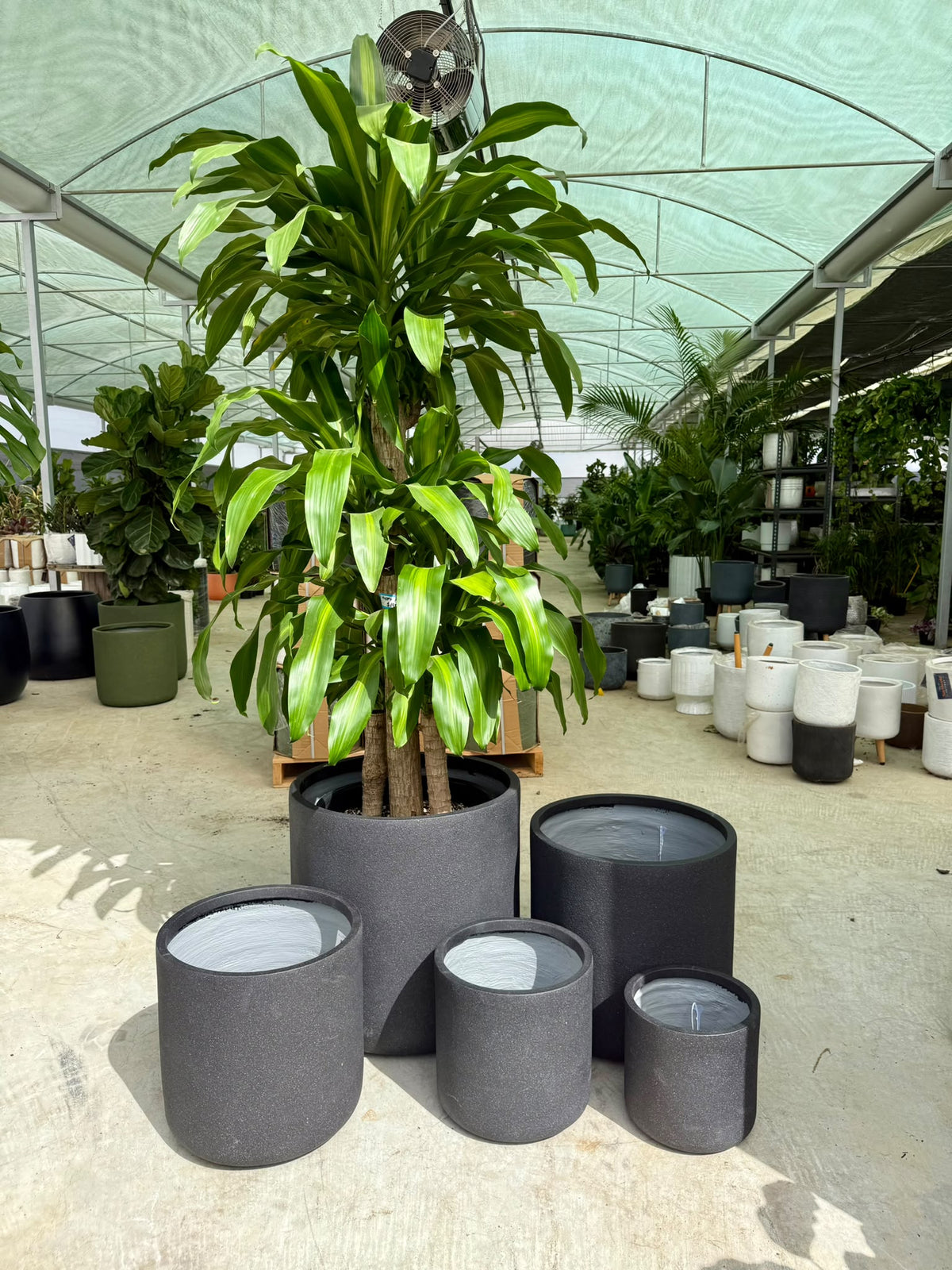 Vellum cylinder pots
