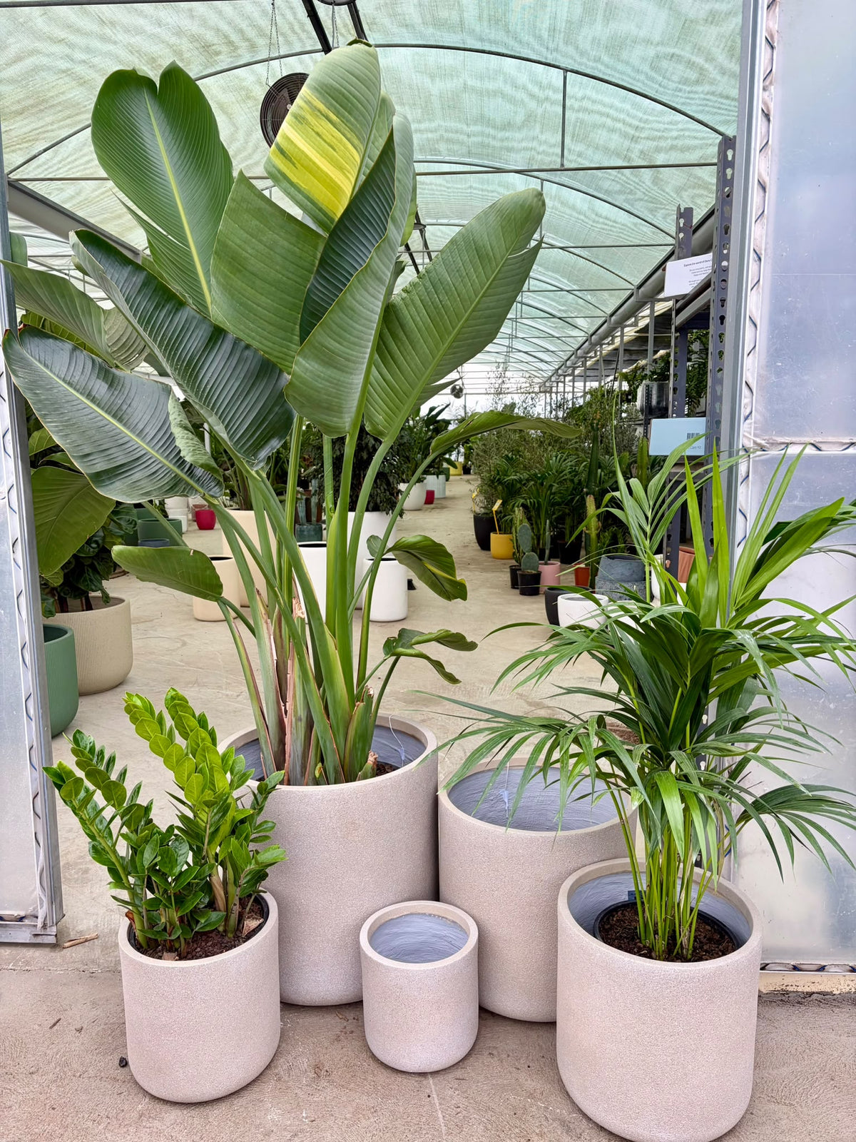 Vellum cylinder pots