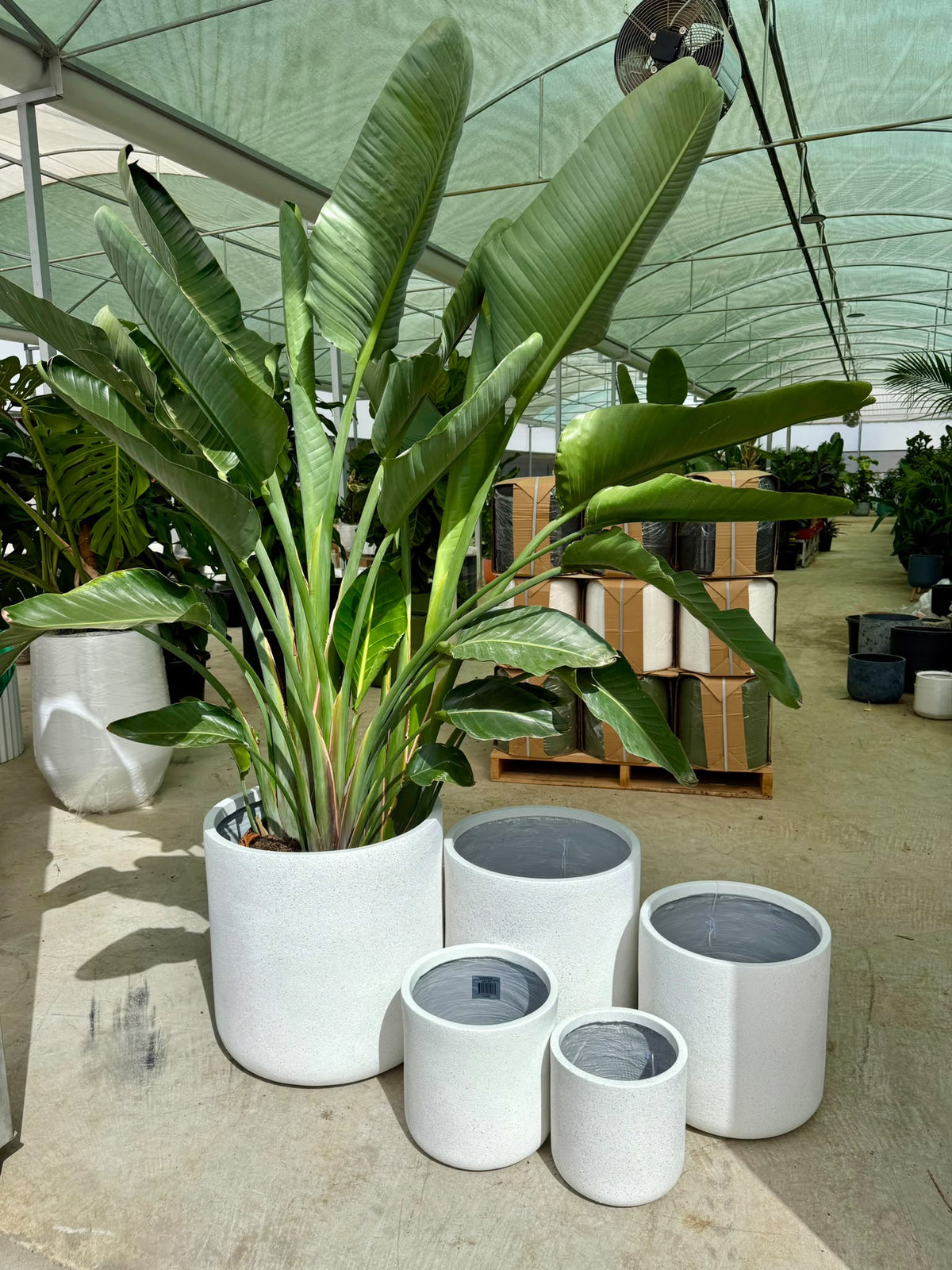 Vellum cylinder pots